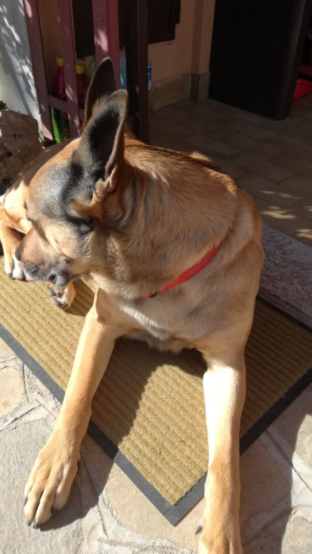 Siamo caduti in basso7