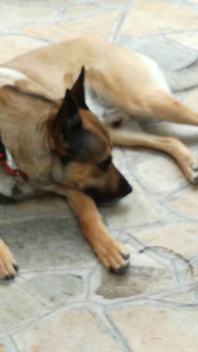 Ninna nanna Ninna oooooooo4