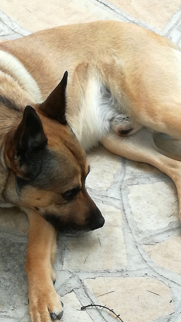 Ninna nanna Ninna oooooooo5