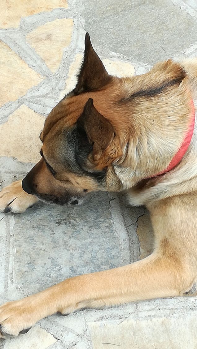 Ninna nanna Ninna oooooooo6