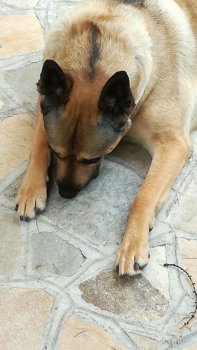 Ninna nanna Ninna oooooooo7