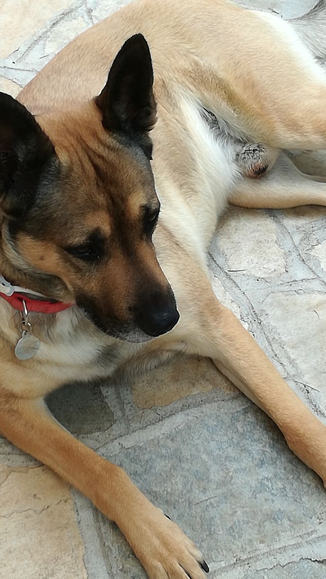 Ninna nanna Ninna oooooooo11