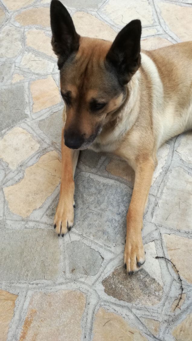 Ninna nanna Ninna oooooooo13