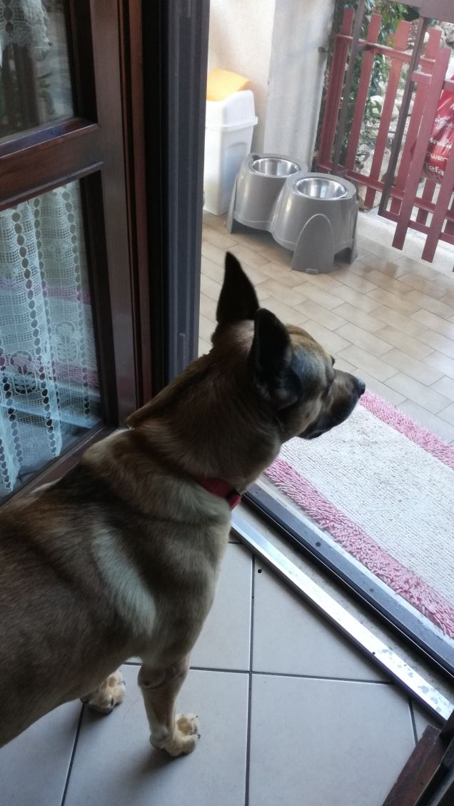 Prigioniero in casa mia.