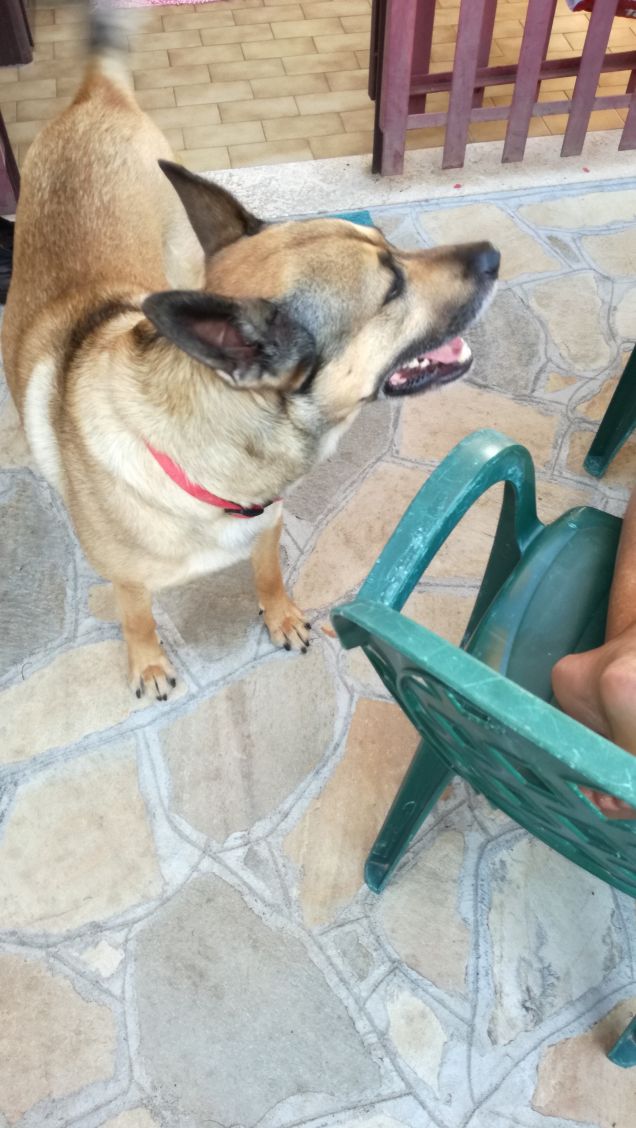 Ma che splendida giornata3