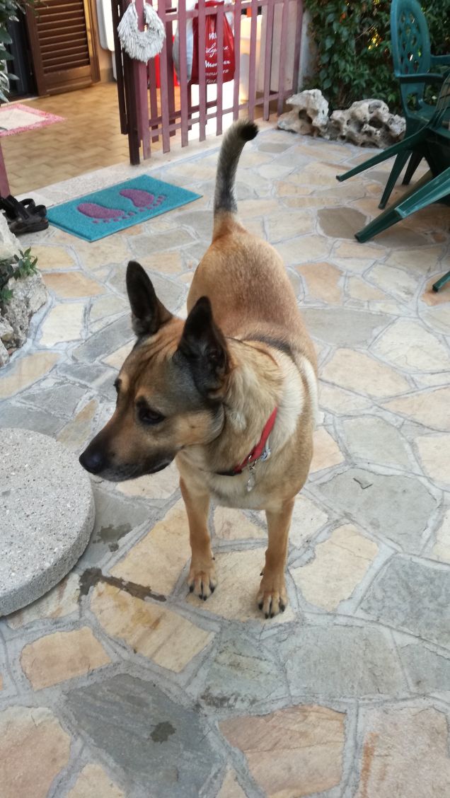 Ma che splendida giornata6