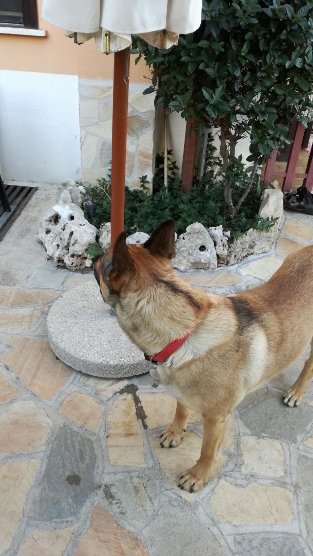 Ma che splendida giornata7