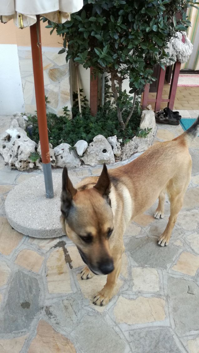 Ma che splendida giornata8