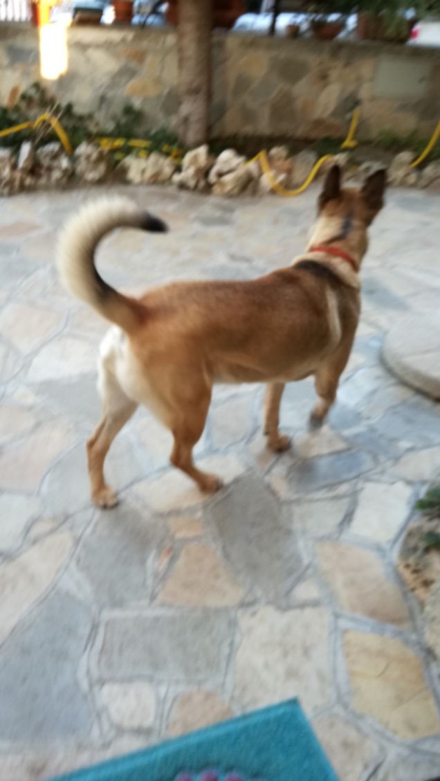 Ma che splendida giornata9