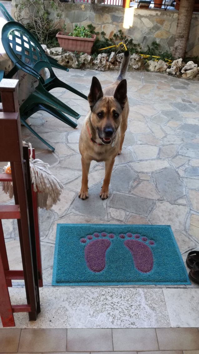 Ma che splendida giornata11