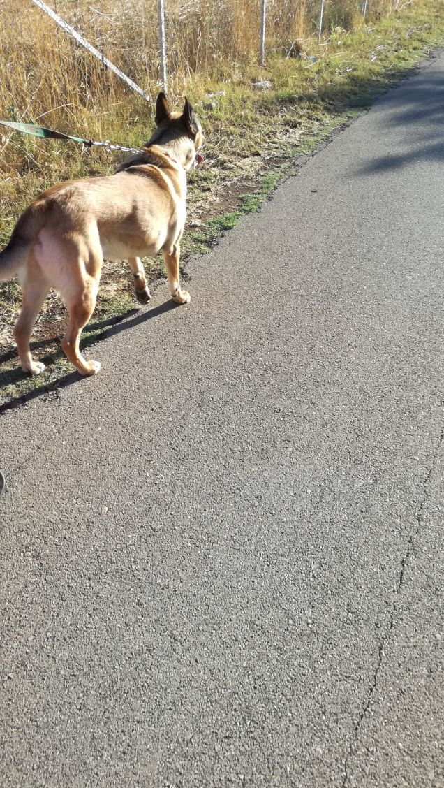A spasso con papà10