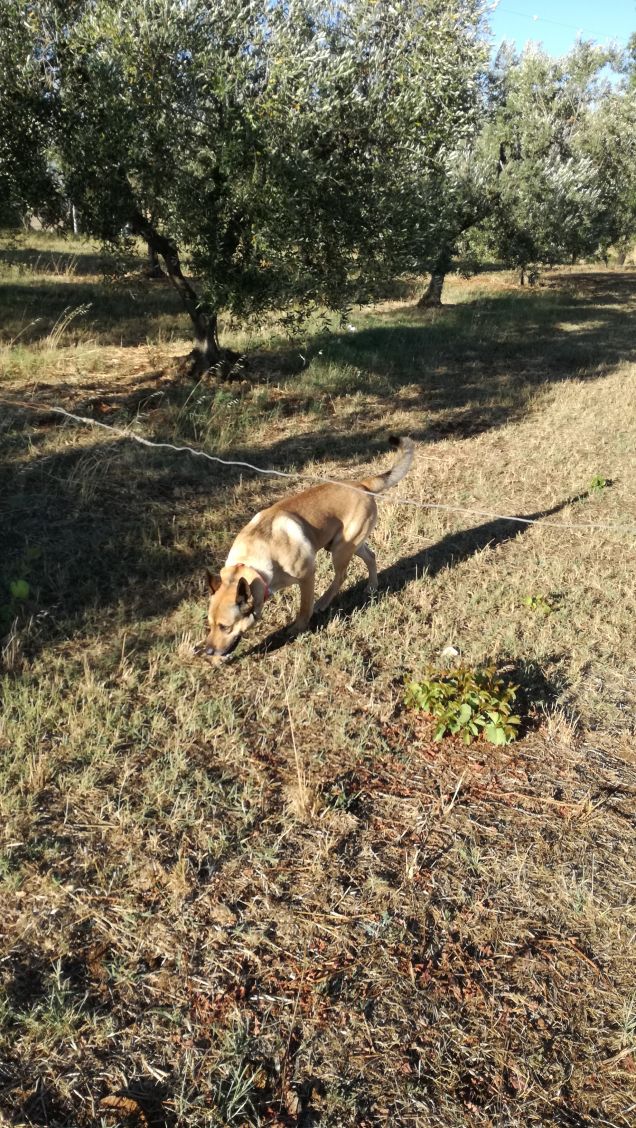 A spasso con papà11