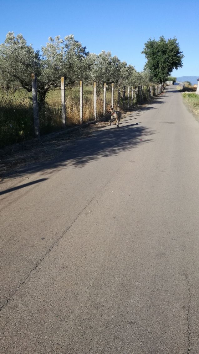 A spasso con papà12