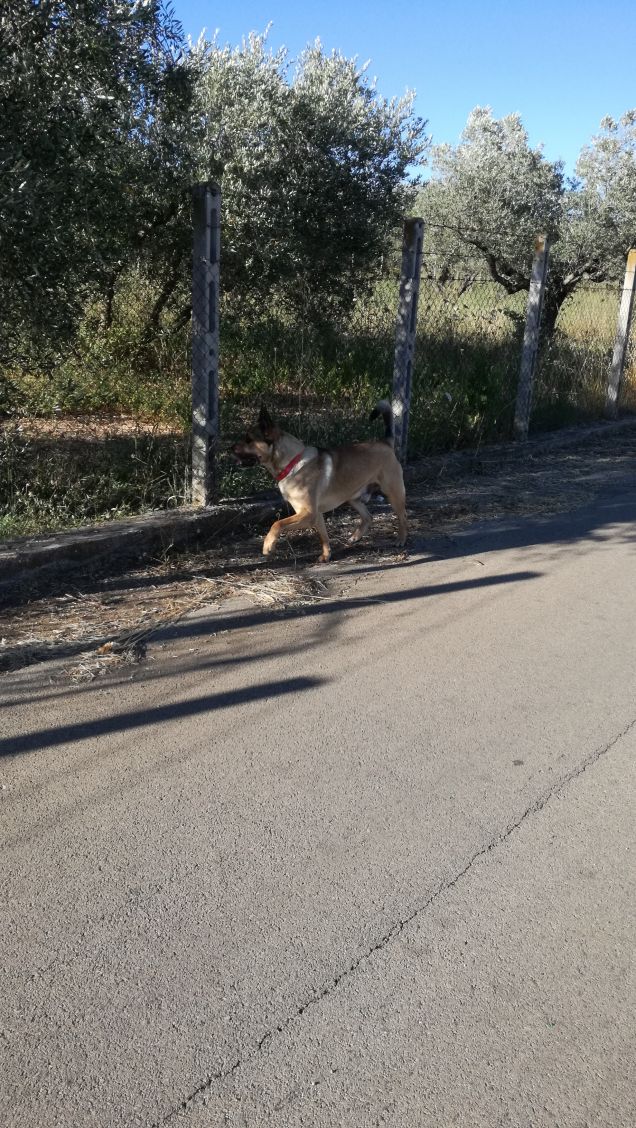 A spasso con papà13