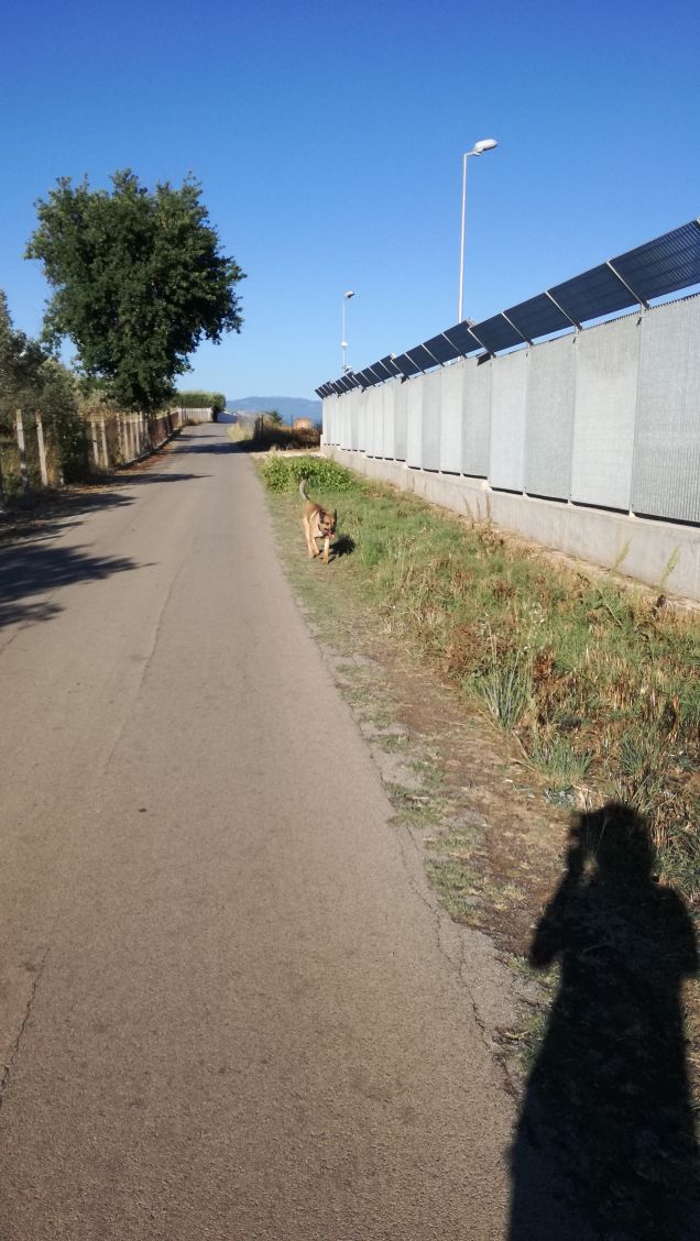 A spasso con papà14