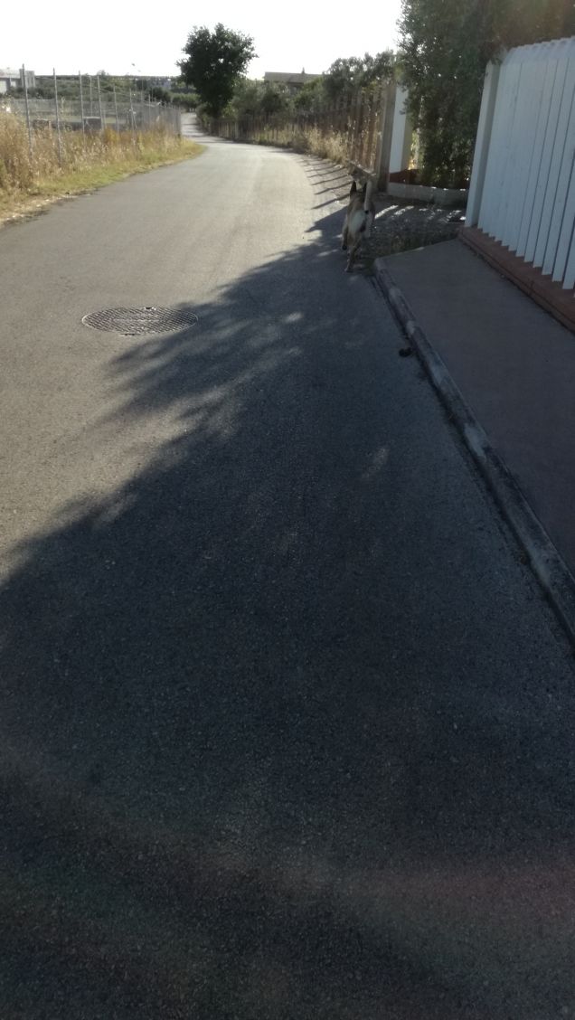 Scorrazzando in campagna1