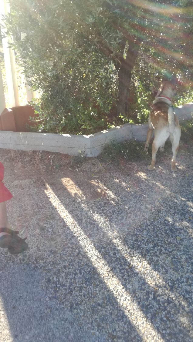 Scorrazzando in campagna2