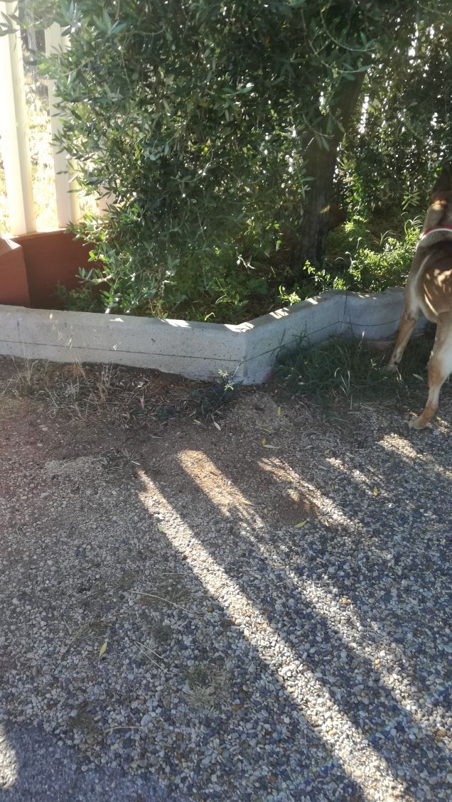 Scorrazzando in campagna3