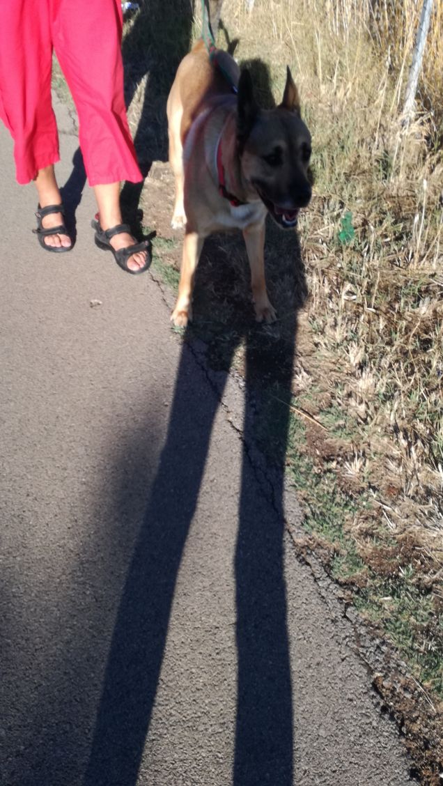 Scorrazzando in campagna4