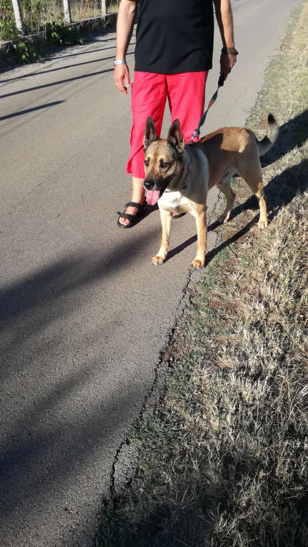 Scorrazzando in campagna6