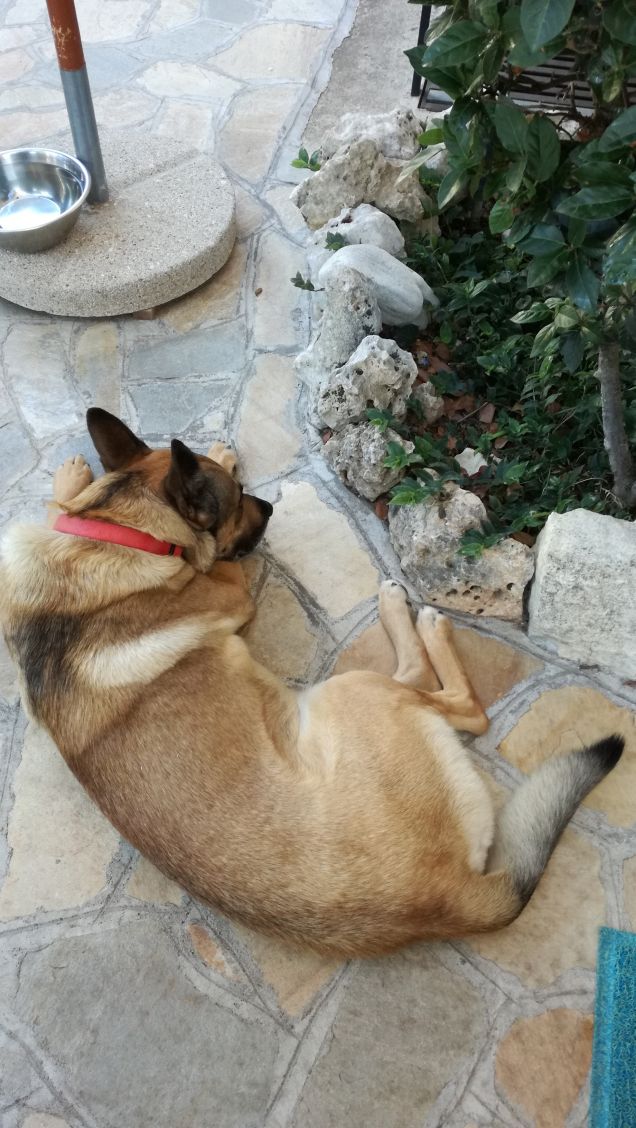 Dolce far... niente2