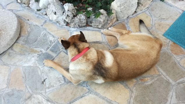 Dolce far... niente3