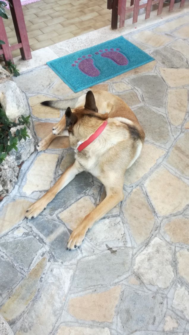 Dolce far... niente4