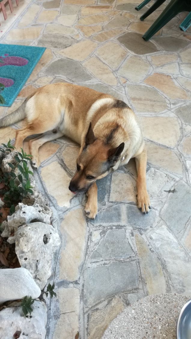 Dolce far... niente5