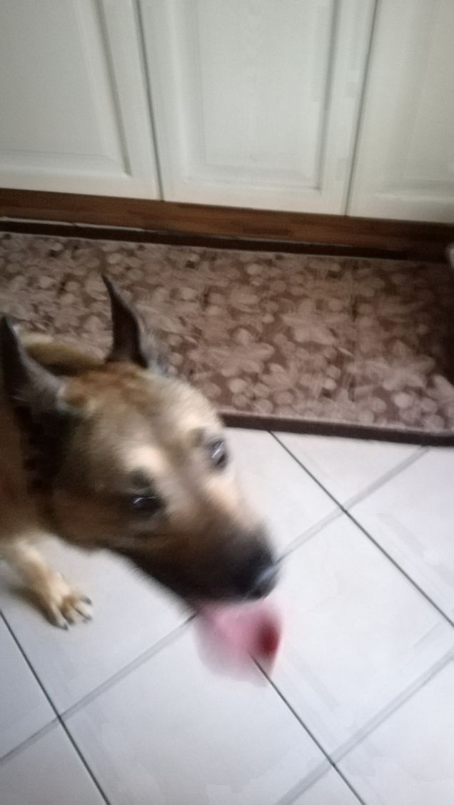 Prima di andare a passeggio1