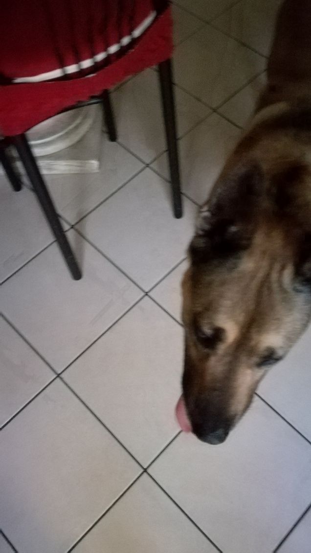 Prima della passeggiata2