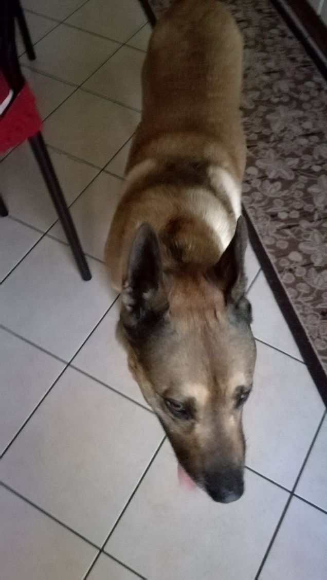 Prima della passeggiata3