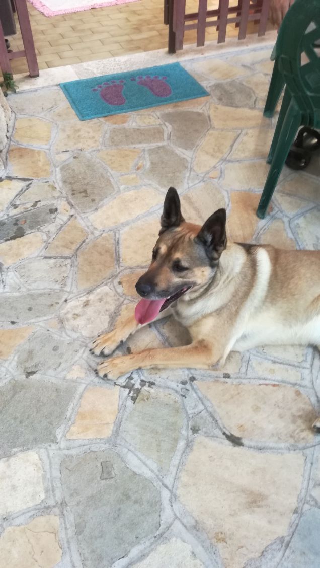 Luglio con il bene che ti voglio2