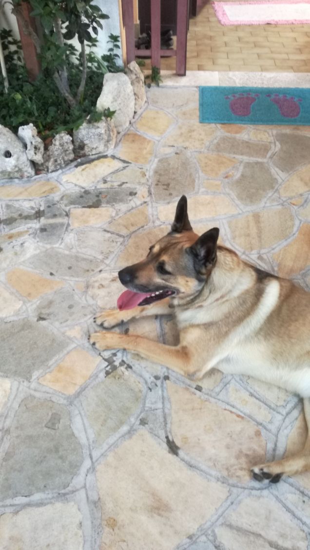 Luglio con il bene che ti voglio3