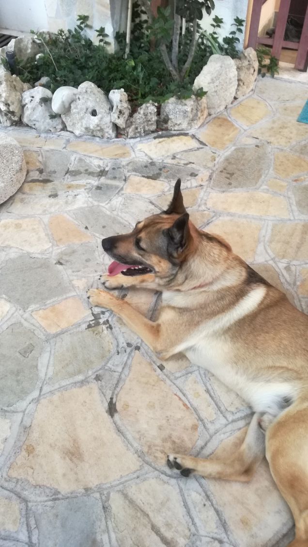 Luglio con il bene che ti voglio4