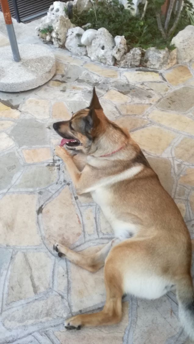 Luglio con il bene che ti voglio5