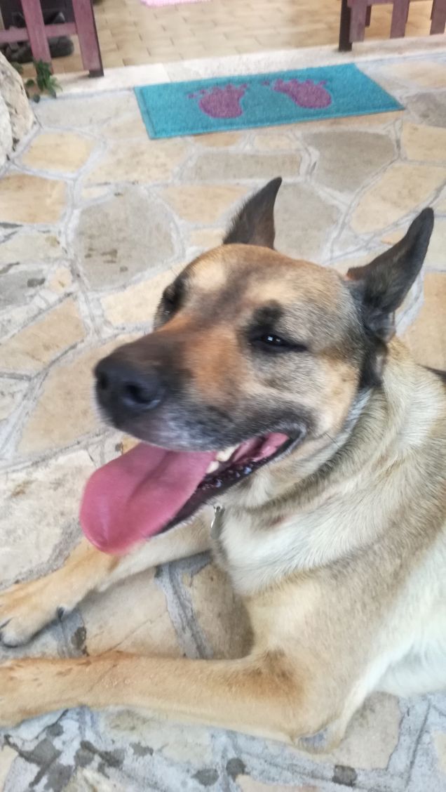 Luglio con il bene che ti voglio6