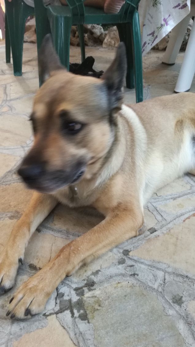 Luglio con il bene che ti voglio7