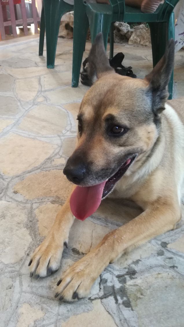 Luglio con il bene che ti voglio8