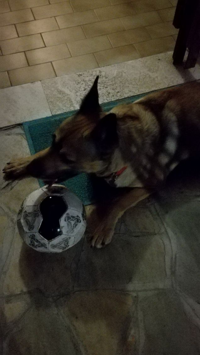 Si sta facendo notte1