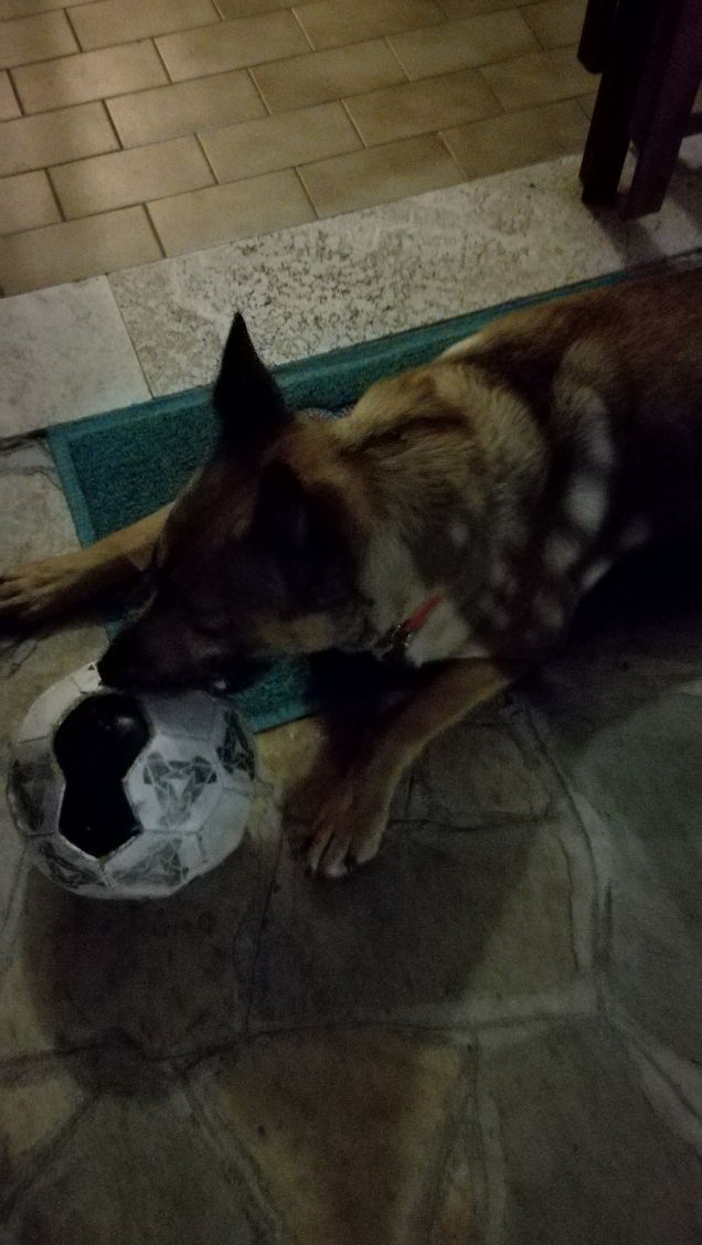 Si sta facendo notte2