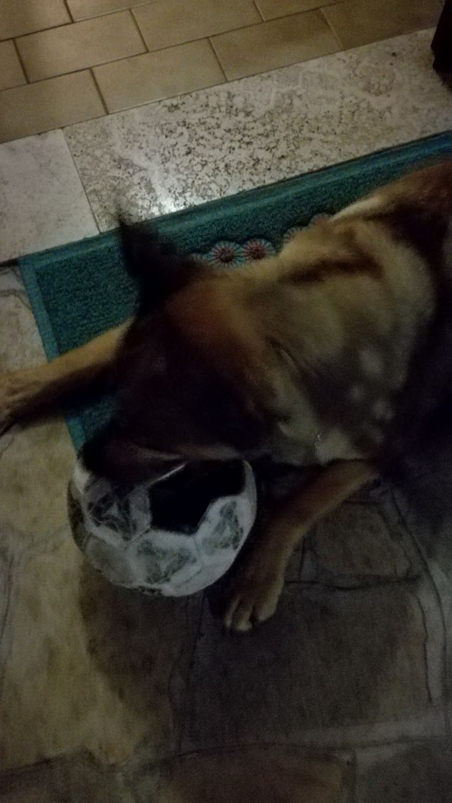 Si sta facendo notte3