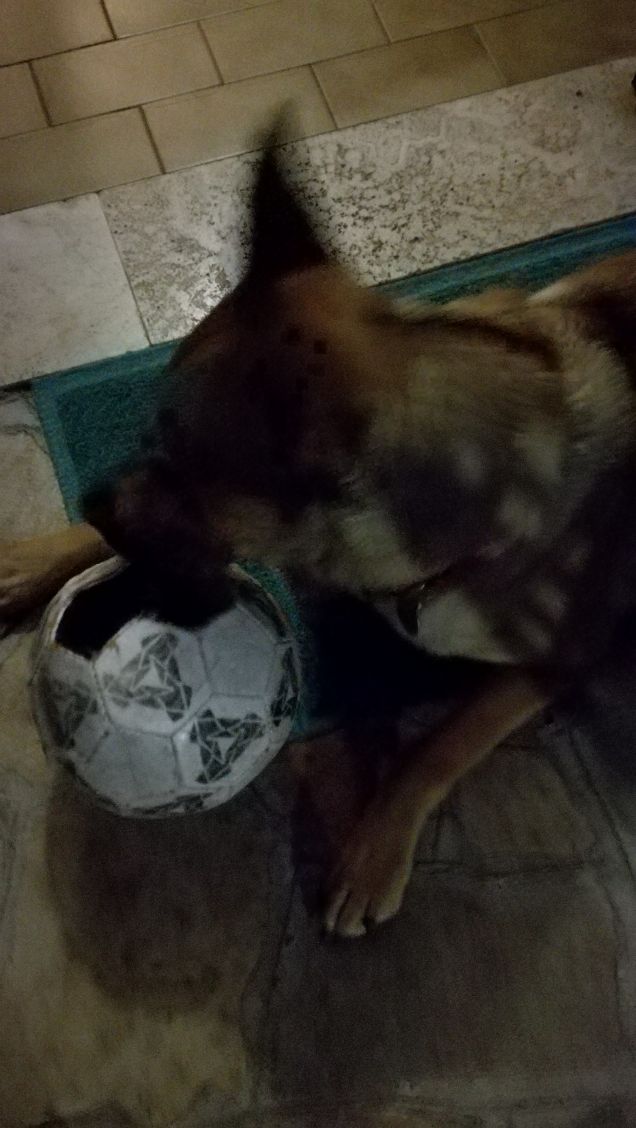 Si sta facendo notte4