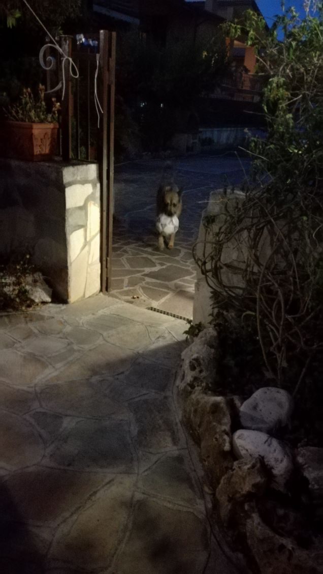 Si sta facendo notte17