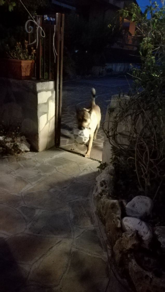 Si sta facendo notte18