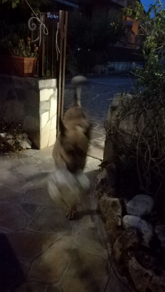 Si sta facendo notte19