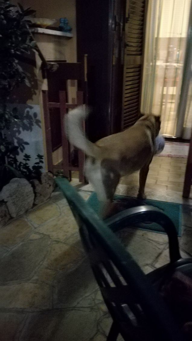 Si sta facendo notte20