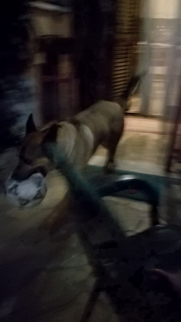 Si sta facendo notte21