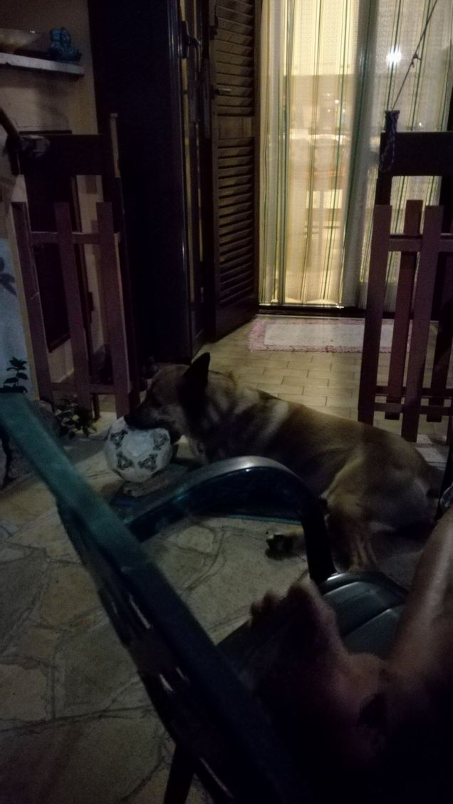 Si sta facendo notte22