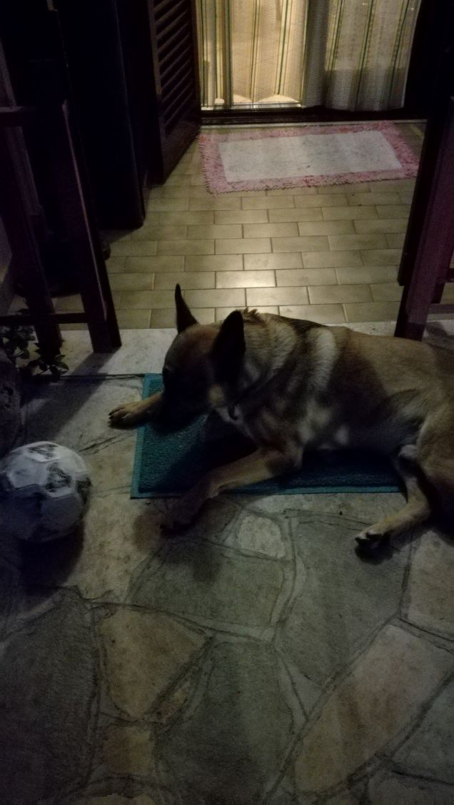 Si sta facendo notte23