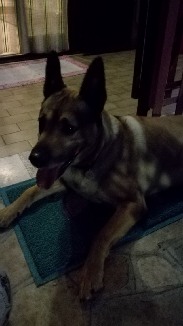 Si sta facendo notte26